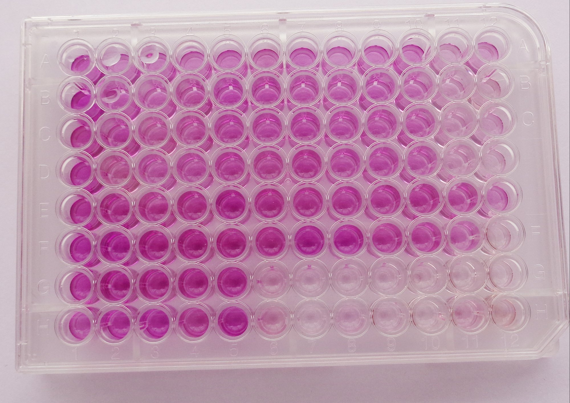 Cell Culture Laboratory